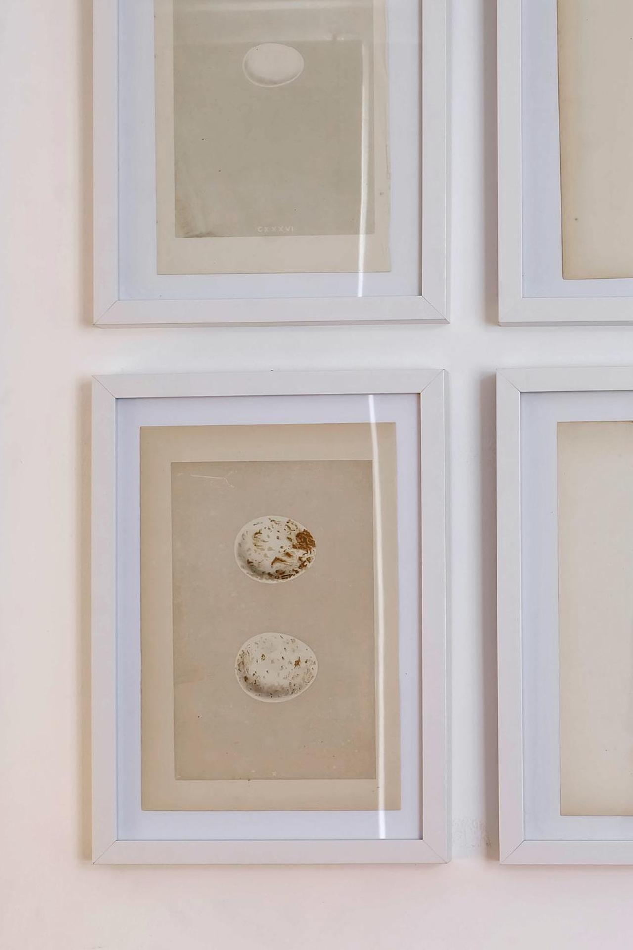 Cec Charm At Coolest Area To Stay: Pr. Real / Br. Alto Apartment Lissabon